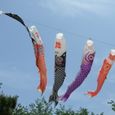 20090503_274